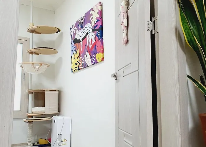 Appartement Dreaming Again